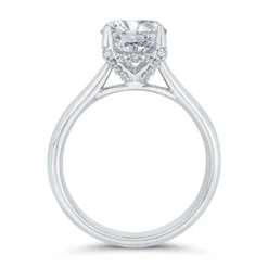 Bella Ponte Diamond Engagement Ring Setting in Platinum