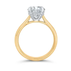 Bella Ponte Diamond Engagement Ring Setting in Platinum & 14K