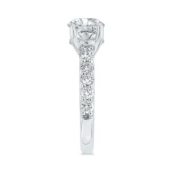 Bella Ponte Engagement Ring Setting in Platinum