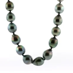 Cultured South Sea Tahitian Pearl Strand 14K, 18"
