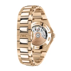IWC Ingenieur Automatic Gold Dial Watch, 35.1mm