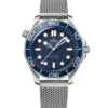 OMEGA Seamaster Diver 300M Blue Dial Watch, 42mm