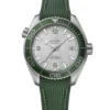 OMEGA Seamaster Planet Ocean 600M Gray Dial Watch, 43.5mm