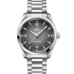 OMEGA Seamaster Railmaster Gray Dial Watch, 38mm