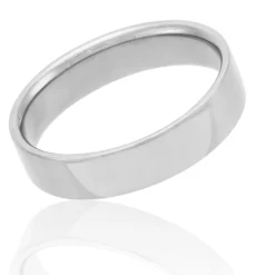 Polished Pipe Comfort Fit 5mm Band in Platinum